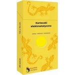 Panta Plast Electrostatic Notes 50pcs. yellow