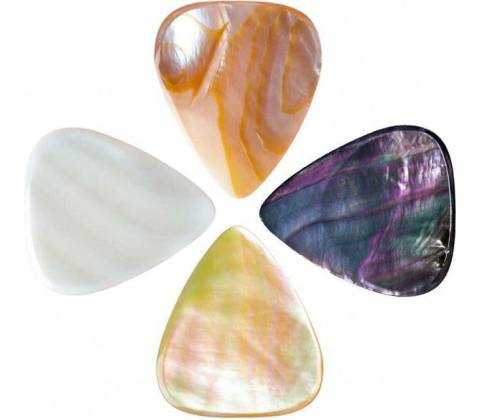 Timber Tones Shell Tones Mixed 4-Pack