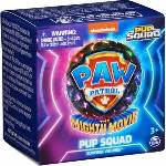 Spin Master Toy figurine Paw Patrol Pup Squad Surprise 6067087