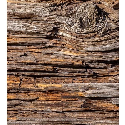 Dimex MS-3-0159 vliesová fototapeta na zeď Kůra stromu rozměry 225 x 250 cm