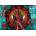 Trefl - Puzzle Puzzle Premium Plus: Deadpool - 1 000 piese