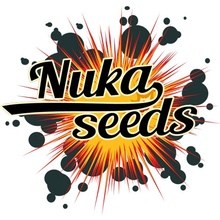 Nuka seeds BANSHEE semena neobsahují THC 5 ks