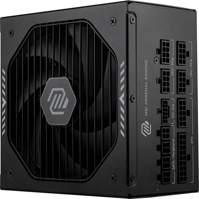 MSI MAG A850GLS PCIE5 850W 306-7ZPIY11-CE0