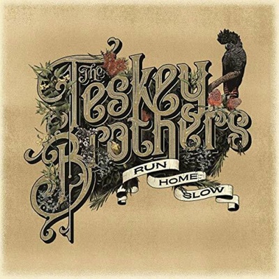 TESKEY BROTHERS - RUN HOME SLOW LP