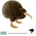 Wild Planet Плюшена играчка, Киви птица 32см Wild Planet (K8260)