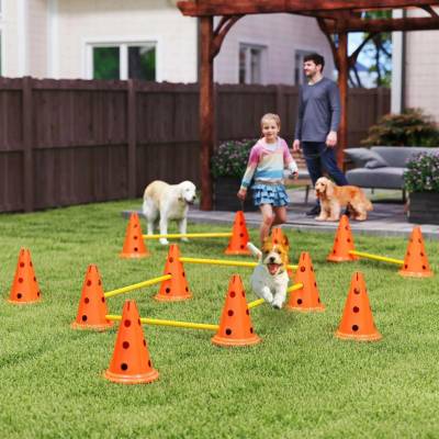 PawHut Agility překážky pro psy oranžové žluté