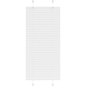 vidaXL Плисирана щора Бяла 55x100 cm Ширина на плата 54, 4 cm (4015474)