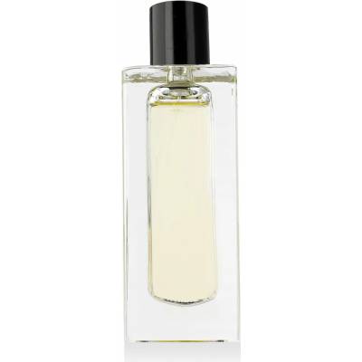 Filippo Sorcinelli Vento Forte parfém unisex 50 ml tester