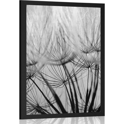 Plakát pampelišková semena v černobílém provedení - 20x30 black