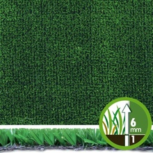 Tenax Standard Green 2 x 3 m