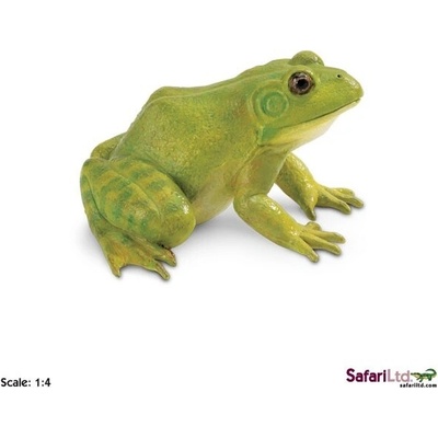 Safari Skokan volský