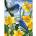 Smart Flamingo Creative set Flamingo Line Painting by numbers 40x50cm Birds on daffodils (FSY689)