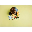 Image 1 of LEGO® Minecraft® - The TNT Jungle House (21275)