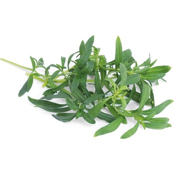 Veritable Вложка за семена Lingot основни билки планинска чубрица био (VLIN-A10-Sar02C)