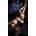Ballerina's Secret Art. 445 Hold Ups Black-Blue L/XL