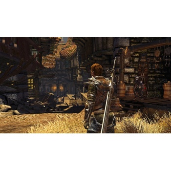 Divinity 2 (The Developer’s Cut)