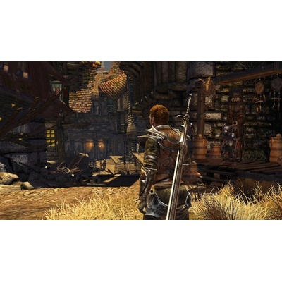 Divinity 2 (The Developer’s Cut)