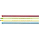 BIC Графитен молив BIC Eco Evolution 646 HB шестоъгълен на ивици 918487 (918487)
