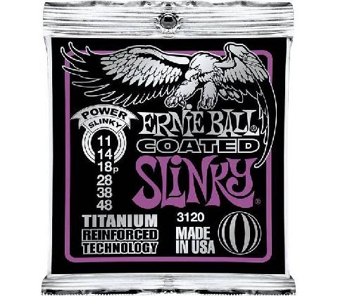 Ernie Ball 3120