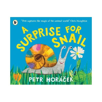 Surprise for Snail