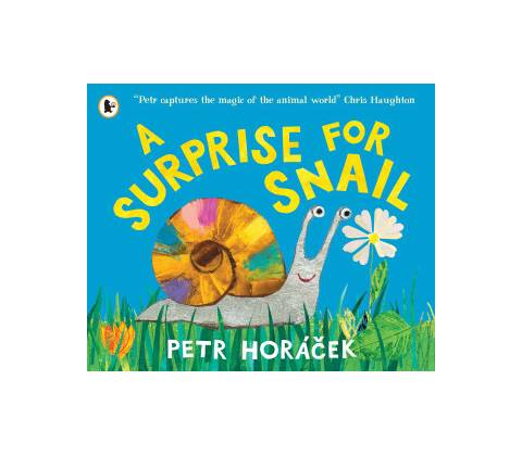Surprise for Snail