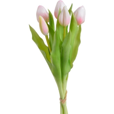 Svazek tulipánů (5 ks) - bílorůžová