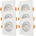Ecolight 6_EC61252