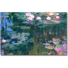 Wallity Claude Monet obraz zelená/modrá/barevná
