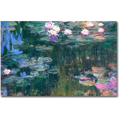 Wallity Claude Monet obraz zelená/modrá/barevná
