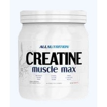 All Nutrition CREATINE Muscle Max 500 g