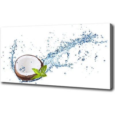 Foto obraz canvas Kokos a voda 100x50 cm