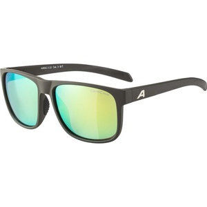 Alpina Nacan III coffee grey matt Слънчеви очила