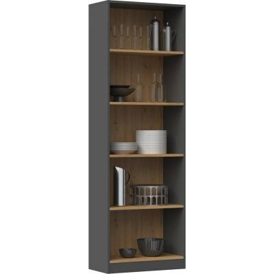Topeshop R60 kancelářská knihovna ANT/ART