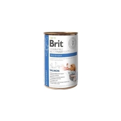 Brit veterinárne losos 400 g