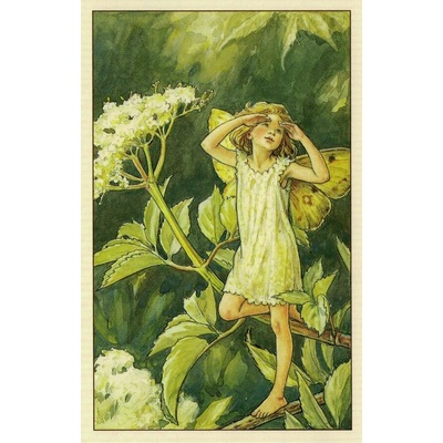 Pohlednice Květinová víla 48