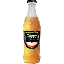 Cappy jablko sklo 24 x 250 ml