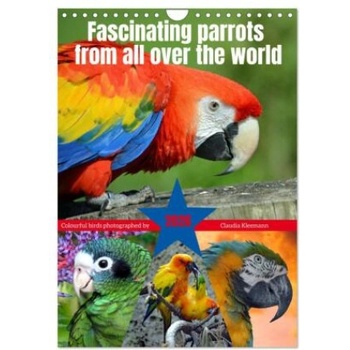 Image 1 of Calvendo Fascinating parrots from all over the world (Wall Calendar 2026 DIN A4 portrait), CALVENDO 12 Month Wall Calendar | Calvendo, Claudia Kleemann