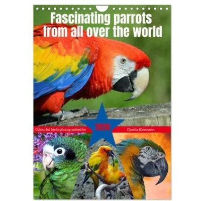 Calvendo Fascinating parrots from all over the world (Wall Calendar 2026 DIN A4 portrait), CALVENDO 12 Month Wall Calendar | Calvendo, Claudia Kleemann