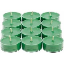 PartyLite Ever Fir 12 ks