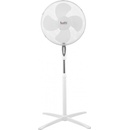 Baltic botti USSF-831D3