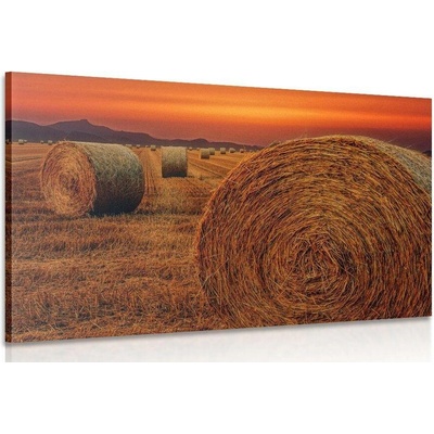 Obraz balíky sena - 120x80