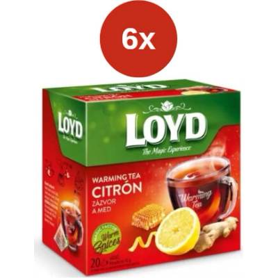 Loyd Warming Tea pyramida citrón zázvor med 6 x 40 g