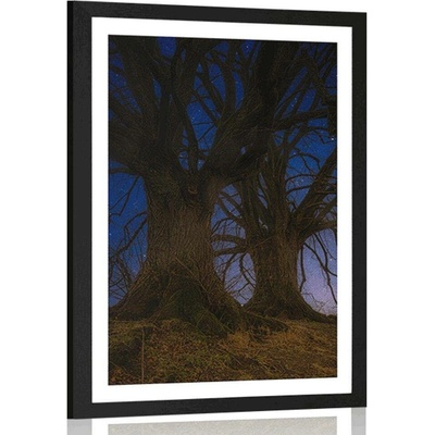 Plakát s paspartou stromy v noční krajině - 30x45 black