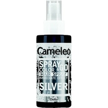 Delia Cosmetics Cameleo Spray & Go silver 150 ml