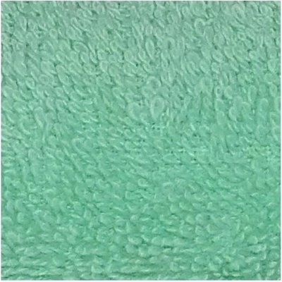 Uniontex Barevný ručník Denis světle zelená 50 x 100 cm, 13 barev