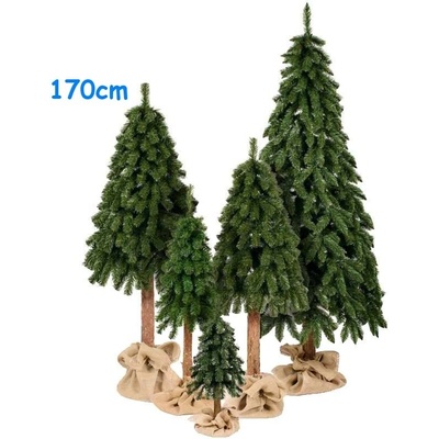 Limpol Vianočný stromček Horský smrek 2,10 m