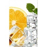 DIMEX ART Флизелинов фототапет лимон и лед 150 x 250 см