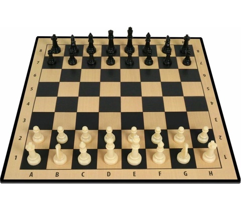 ŠACHY společenská hra (klasická)