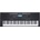 Medeli MK401 (MK401)