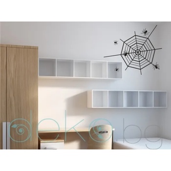 Image 1 of Паяжина с паяци (5201)